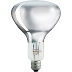 IR-lamp Philips Lamp voor speciale toepassingen